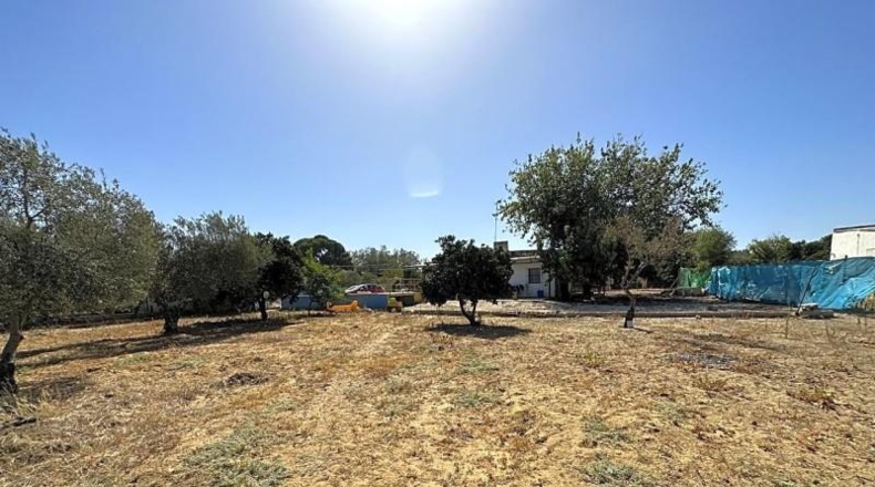 Sevilla - Marchena - 4800m2