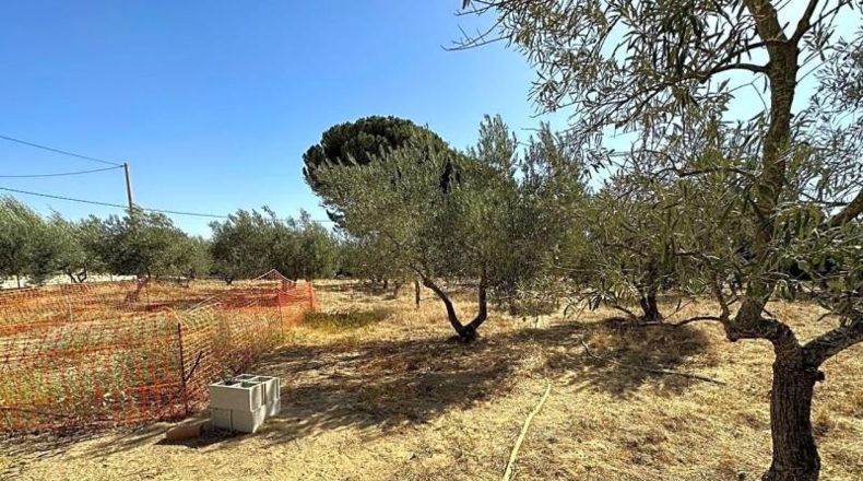 Sevilla - Marchena - 4800m2