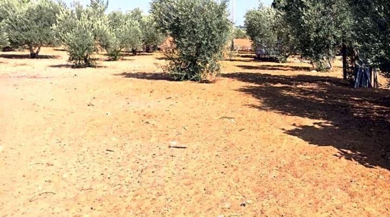 Sevilla - Marchena - 4800m2