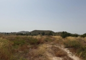 Casa de campo con terreno en venta en la España, Lorca, ref: TR328197 foto