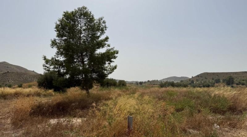 Murcia - Лорка - 63831m2