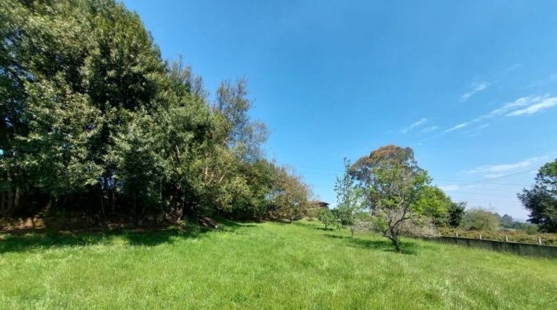 Asturias - Gijón - 1532m2