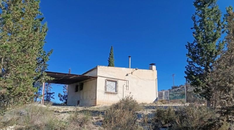Múrcia - Molina de Segura - 8600m2