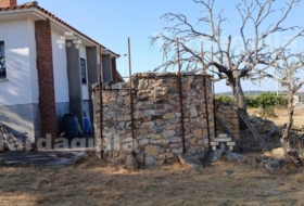 Buenavista 1279&nbsp;m² 
