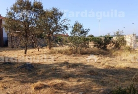 Buenavista 1279&nbsp;m² 