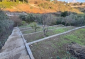 Terreny no urbanitzable en venda a la España, Rincón de la Victoria, ref.: TR363990 foto