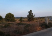 Casa de camp amb terreny en venda a la España, Alhama de Murcia, ref.: TR299912 foto