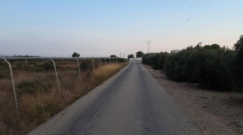 Murcia - Alhama de Murcia - 17577m2