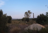 Casa de camp amb terreny en venda a la España, Alhama de Murcia, ref.: TR299912 foto