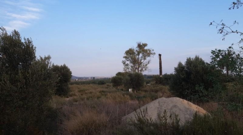 Murcia - Alhama de Murcia - 17577m2