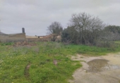 Non-developable land for sale on España, Chiclana de la Frontera, ref: TR378031 photo