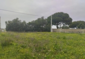 Non-developable land for sale on España, Chiclana de la Frontera, ref: TR378031 photo
