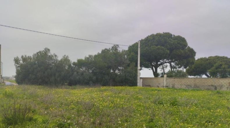 Cadiz - Chiclana de la Frontera - 1699m2