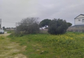 Non-developable land for sale on España, Chiclana de la Frontera, ref: TR378031 photo