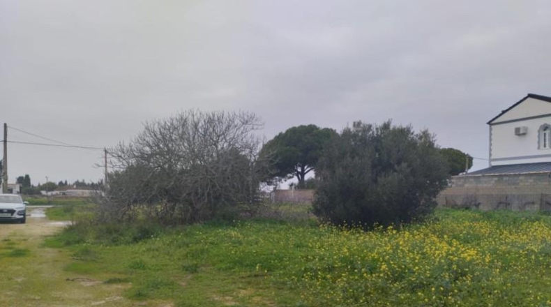 Cadiz - Chiclana de la Frontera - 1699m2