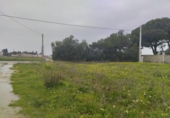 Non-developable land for sale on España, Chiclana de la Frontera, ref: TR378031 photo