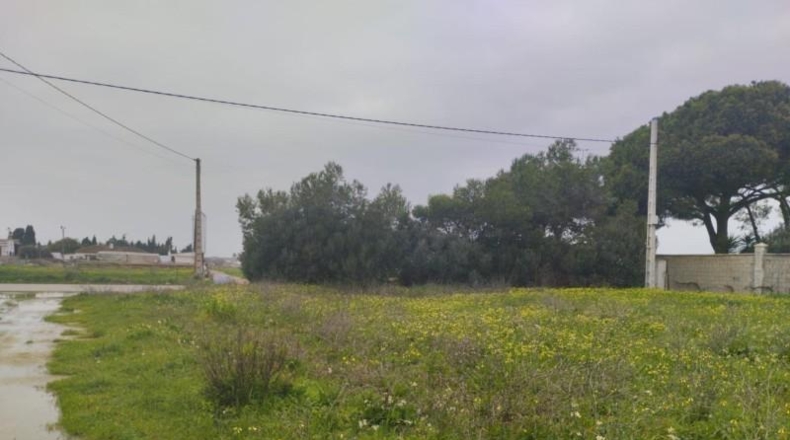 Cadiz - Chiclana de la Frontera - 1699m2
