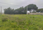 Non-developable land for sale on España, Chiclana de la Frontera, ref: TR378031 photo