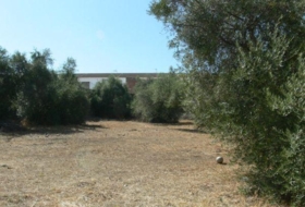 Castilblanco de los Arroyos 1660&nbsp;м²