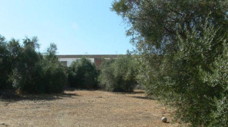 Seville - Castilblanco de los Arroyos - 1660m2