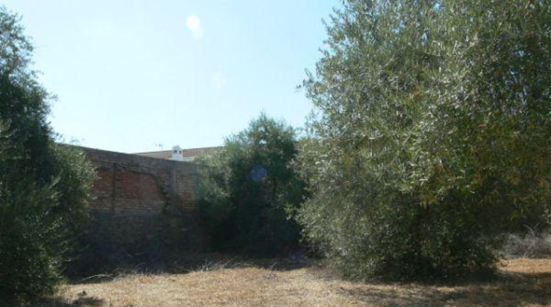 Seville - Castilblanco de los Arroyos - 1660m2