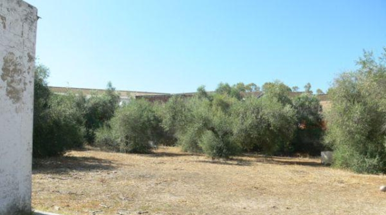Seville - Castilblanco de los Arroyos - 1660m2