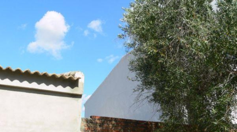 Seville - Castilblanco de los Arroyos - 1660m2