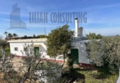Land suitable for development for sale on España, Seville, ref: TR123068 photo
