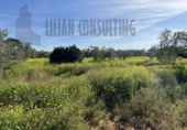 Land suitable for development for sale on España, Seville, ref: TR123068 photo
