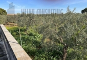 Land suitable for development for sale on España, Seville, ref: TR123068 photo