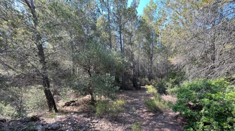 Tarragona - Mont-roig del Camp - 20150m2