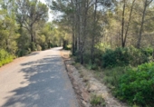 Terreny no urbanitzable en venda a la España, Vilanova d'Escornalbou, ref.: TR325487 foto