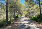Terreny no urbanitzable en venda a la España, Vilanova d'Escornalbou, ref.: TR325487 foto