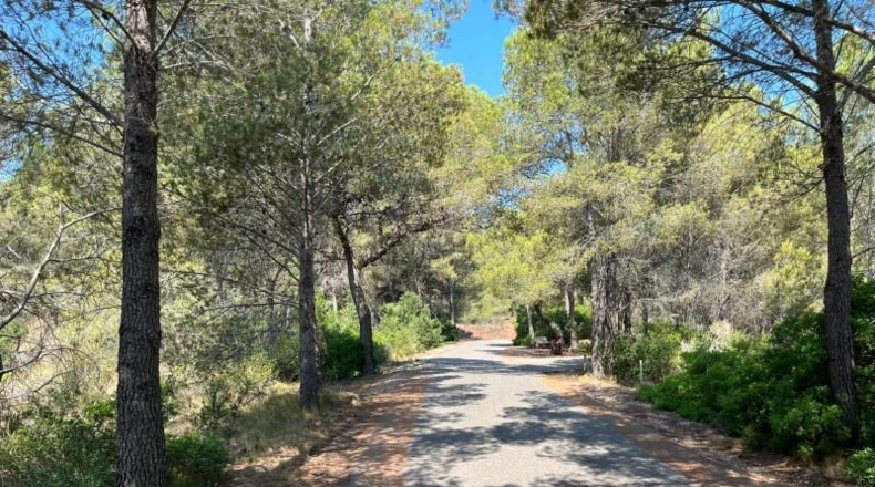 Tarragona - Mont-roig del Camp - 20150m2