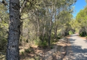 Terreny no urbanitzable en venda a la España, Vilanova d'Escornalbou, ref.: TR325487 foto