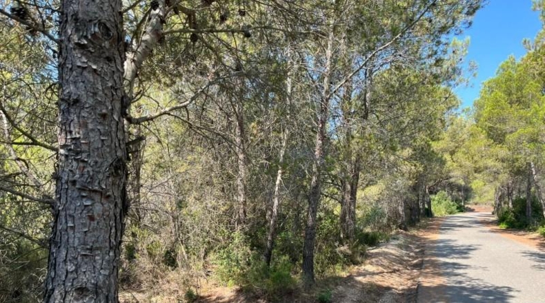 Tarragona - Mont-roig del Camp - 20150m2