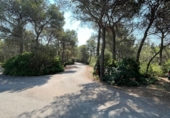 Terreny no urbanitzable en venda a la España, Vilanova d'Escornalbou, ref.: TR325487 foto