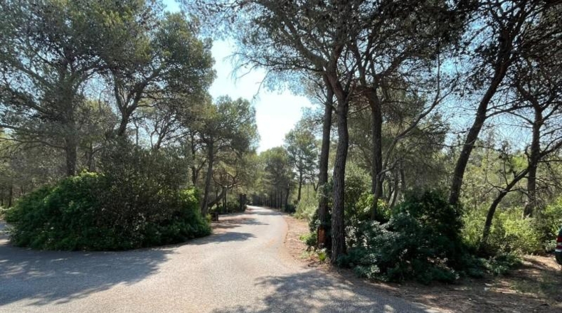 Tarragona - Mont-roig del Camp - 20150m2