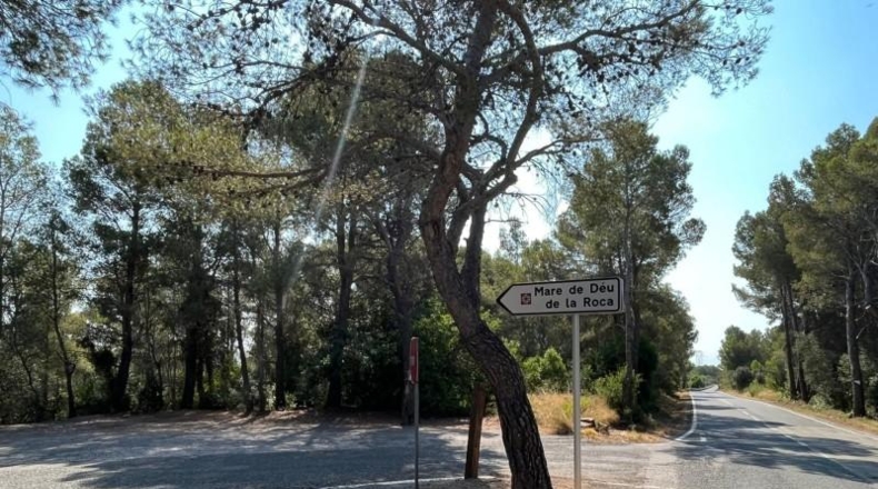 Tarragona - Mont-roig del Camp - 20150m2
