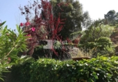 Casa amb terreny en venda a la España, Torrelles de Llobregat, ref.: TR112544 foto