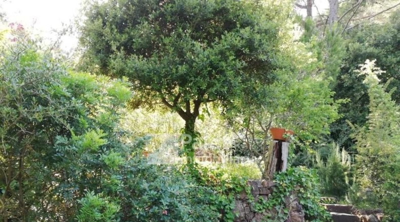 Barcelona - Torrelles de Llobregat - 843m2