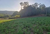 Suelo urbano en venta en la España, Pontevea, ref: TR328609 foto