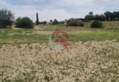 Non-developable land for sale on España, Cártama, ref: TR247686 photo