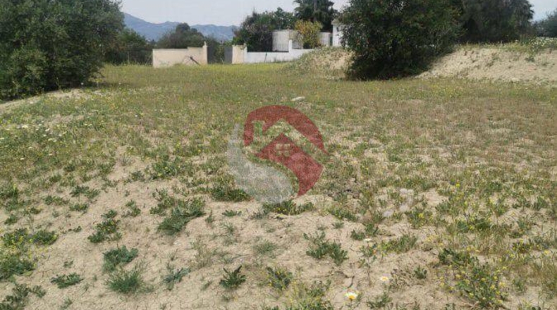 Málaga - Cártama - 11000m2