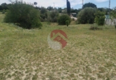 Non-developable land for sale on España, Cártama, ref: TR247686 photo