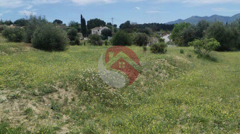 Málaga - Cártama - 11000m2