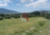 Non-developable land for sale on España, Cártama, ref: TR247686 photo