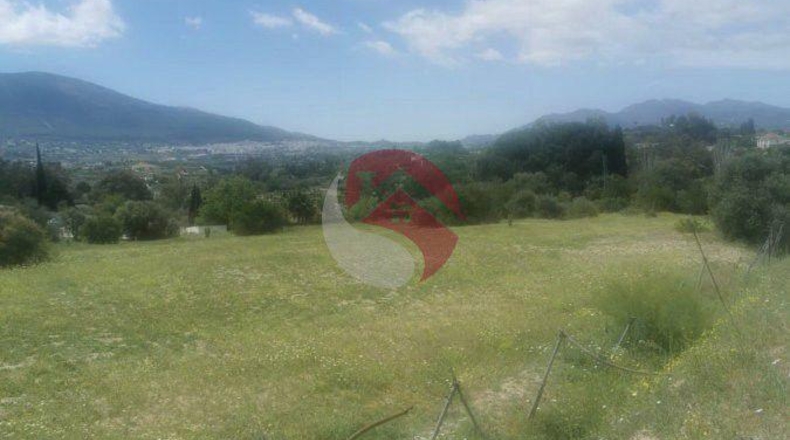 Málaga - Cártama - 11000m2