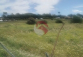 Non-developable land for sale on España, Cártama, ref: TR247686 photo