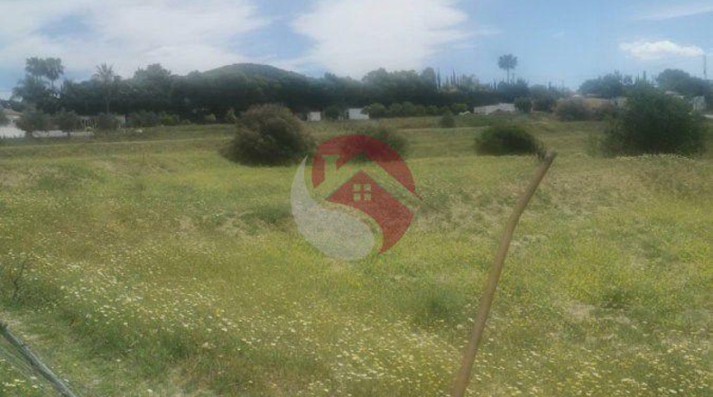 Málaga - Cártama - 11000m2